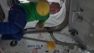 Цирк на орбите МКС / Space Circus on ISS
