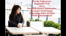 Sevda Yahyayeva-Baglanib Urek-2014-FDS production
