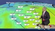 Weatherman vs Dog News Blooper
