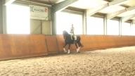 Trainingsvideo Tara 2014
