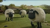 Shaun The Sheep 21. Troublesome Tractor