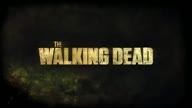 Ходячие мертвецы 3 сезон, 5 серия (2012) The Walking Dead (S3 E5)