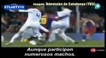 Каталонское ТВ сравнило футболистов «Реала» с гиенами