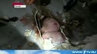 Новорожденного выбросили в канализационную трубу 