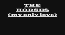 the horses (my only love)