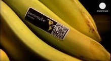 Супермаркет получил бананы с кокаином