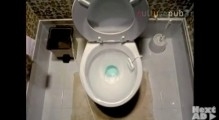 Toilet disaster!