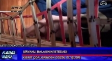 Sirvanli balasinin inanilmaz istedadi 14.01.2014 